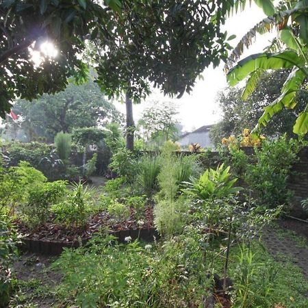 Bhumi Hostel Yogyakarta Ngoại thất bức ảnh