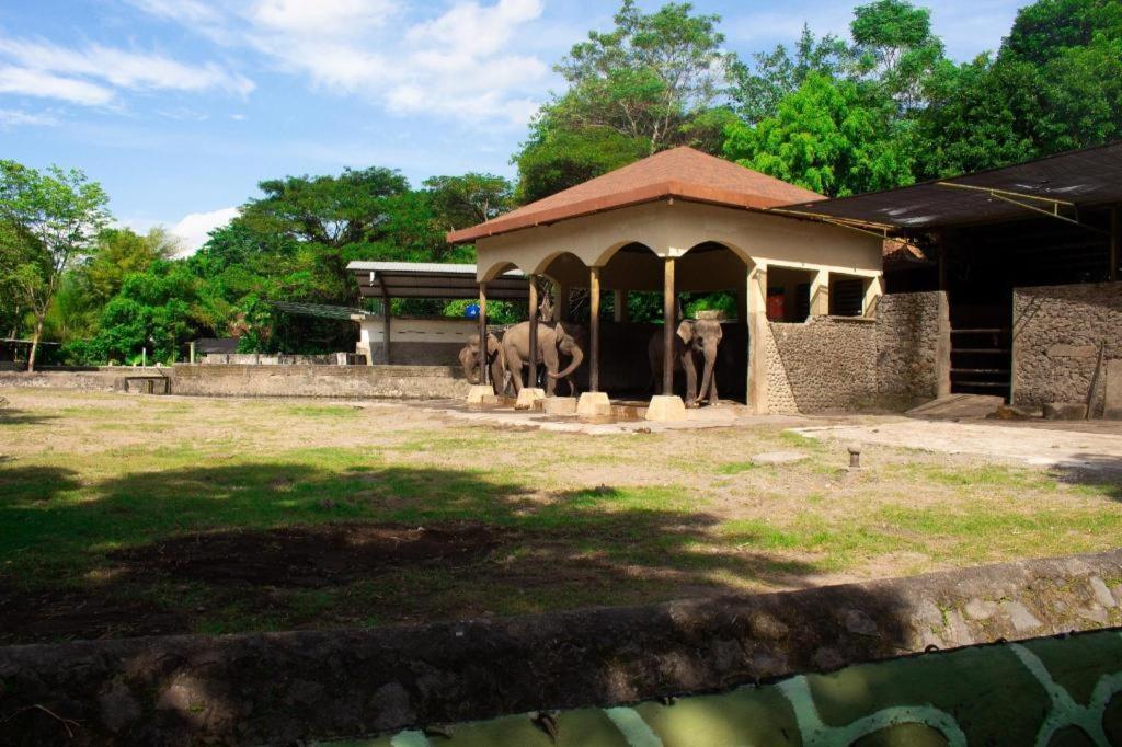Bhumi Hostel Yogyakarta Ngoại thất bức ảnh