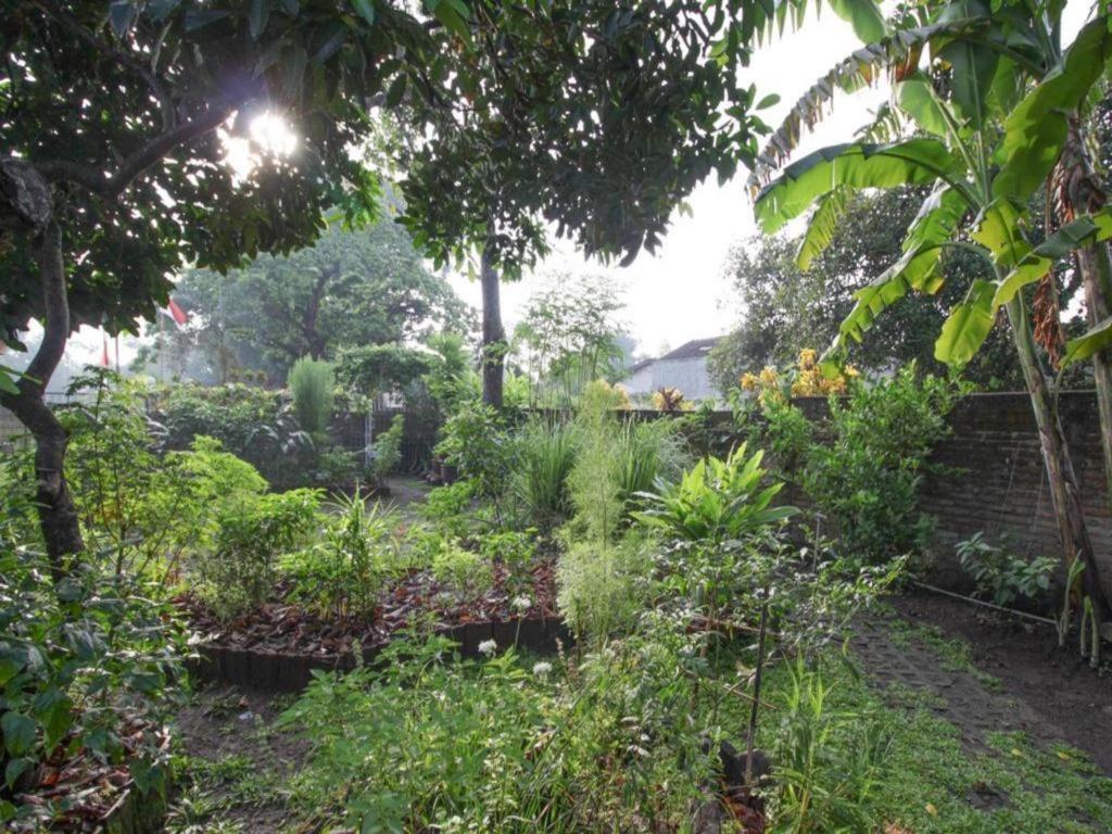 Bhumi Hostel Yogyakarta Ngoại thất bức ảnh
